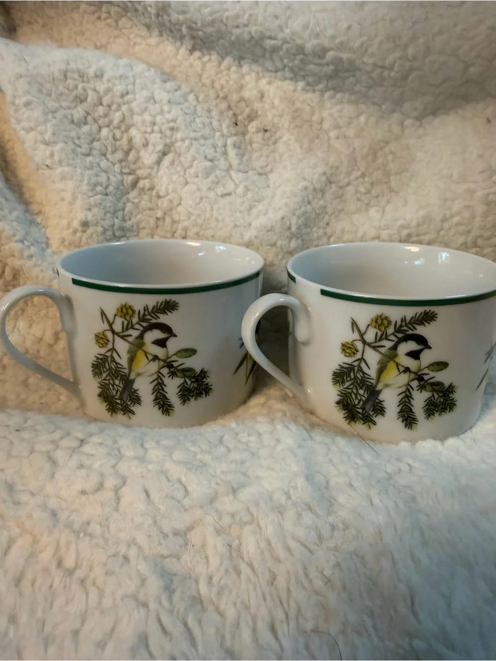 2 Vintage National Wildlife Federation “American Songbirds” Tea Cups. RARE